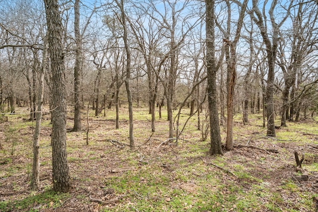 view of local wilderness