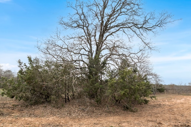 view of landscape