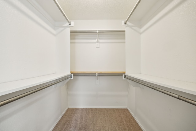 spacious closet featuring light colored carpet