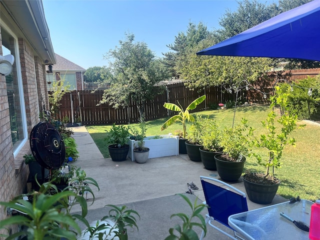 2453 Dawn Mist Dr, Little Elm, TX 75068 - view of yard featuring an outdoor structure, a patio, a fenced backyard, and a storage unit