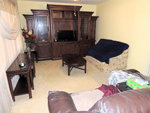 living area featuring light colored carpet