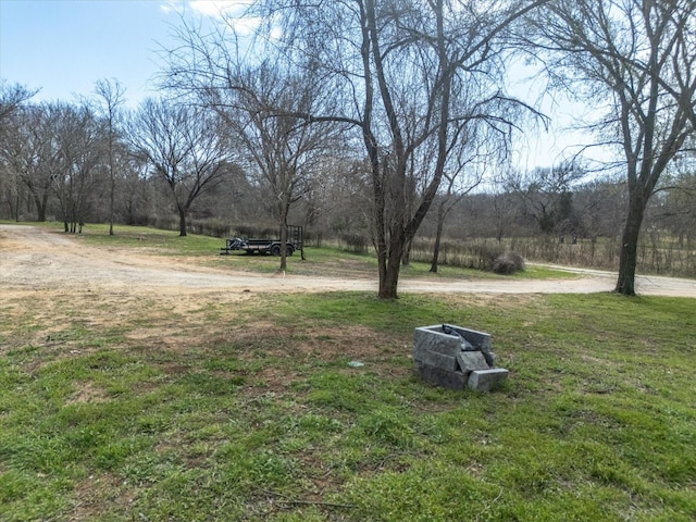 view of yard featuring driveway