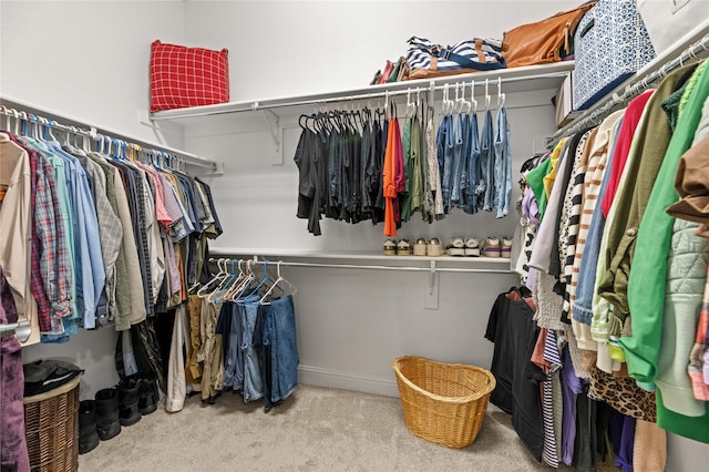 spacious closet featuring carpet