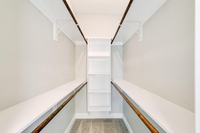 spacious closet with light colored carpet