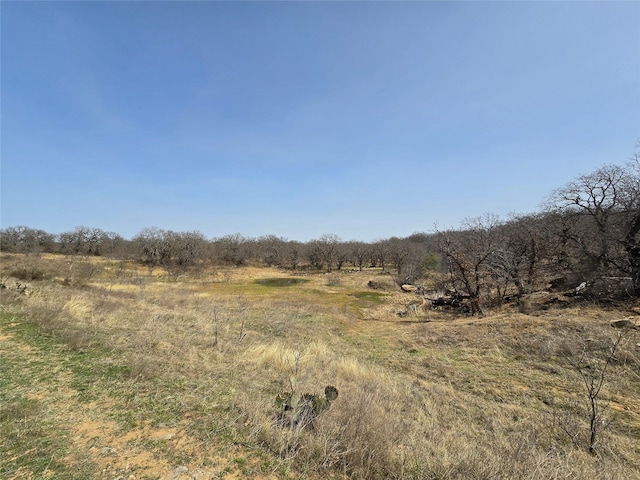 Listing photo 2 for 1936 County Road 174, Burkett TX 76828