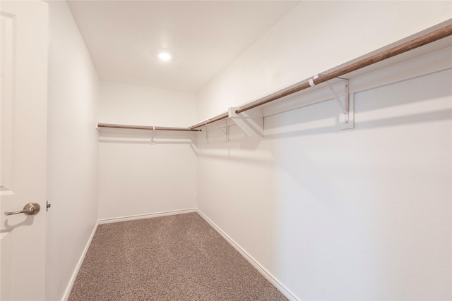 spacious closet with carpet