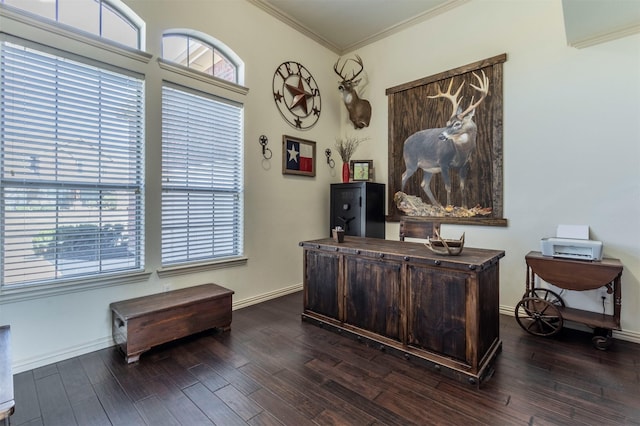 office featuring dark wood finished floors, baseboards, and ornamental molding