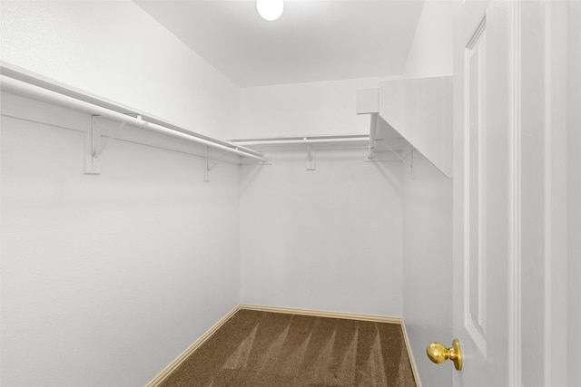 walk in closet with carpet