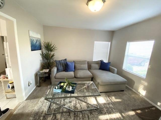 living room with baseboards and carpet floors