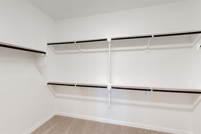 spacious closet with light carpet