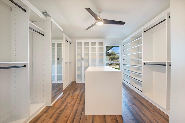 spacious closet featuring visible vents, dark wood-type flooring, and ceiling fan