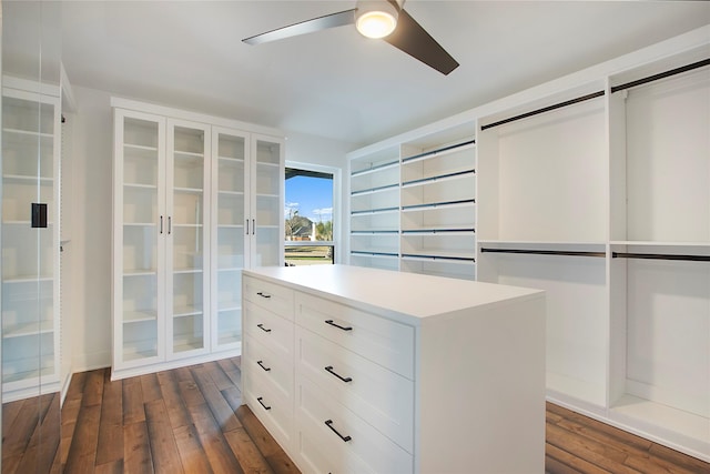 spacious closet with a ceiling fan and dark wood-style floors