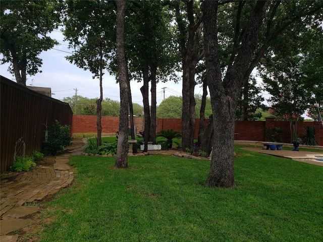 view of yard with a fenced backyard