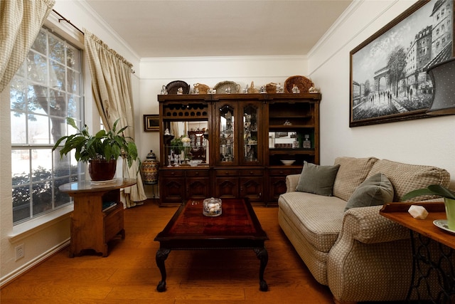 living area with wood finished floors and ornamental molding