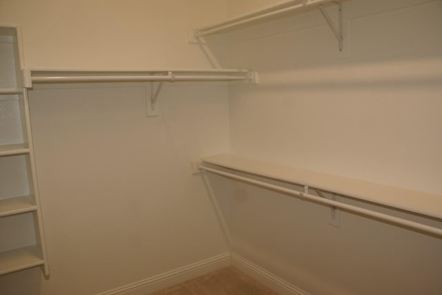 view of walk in closet