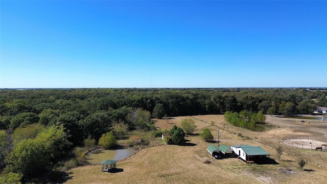 bird's eye view with a forest view