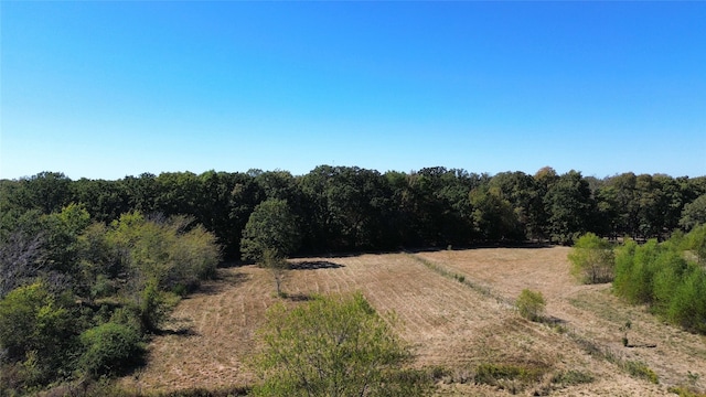 view of local wilderness with a rural view