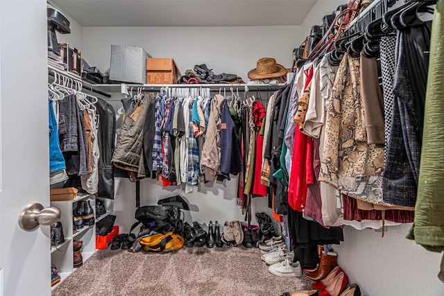 spacious closet featuring carpet