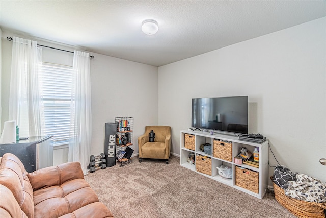 living area featuring carpet flooring and a textured ceiling