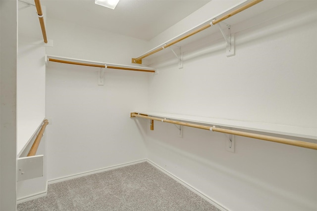 walk in closet with carpet floors