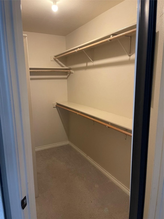 spacious closet with carpet floors