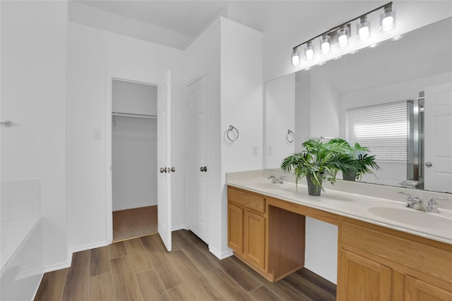 bathroom featuring a sink, a spacious closet, wood finished floors, and double vanity