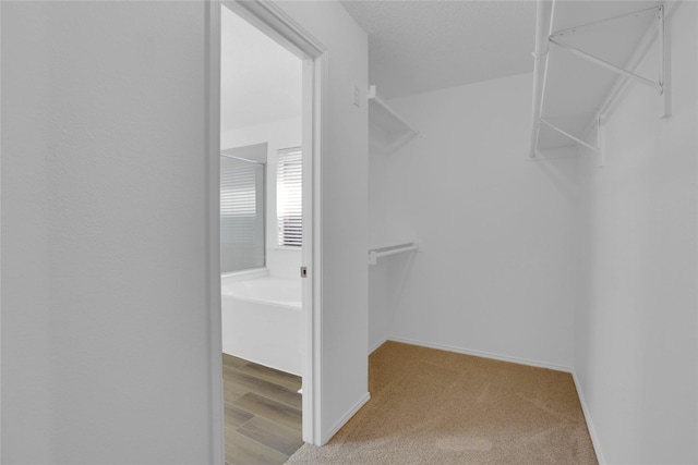 spacious closet with light carpet