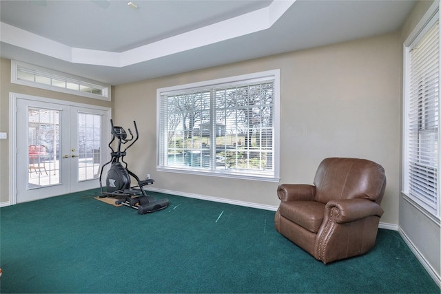 workout area featuring a wealth of natural light, french doors, and carpet floors