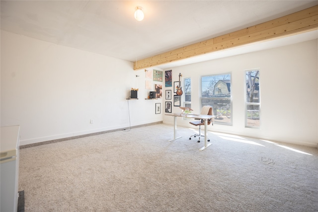 interior space featuring baseboards and carpet