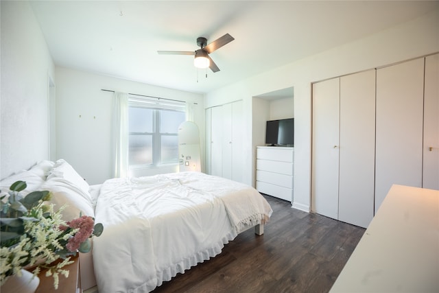 bedroom featuring multiple closets, a ceiling fan, and dark wood-style flooring