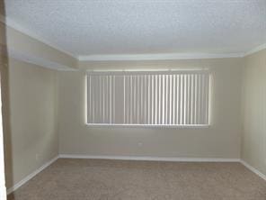 carpeted spare room featuring baseboards, a textured ceiling, and ornamental molding