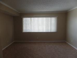 spare room featuring a wealth of natural light, baseboards, carpet, and ornamental molding