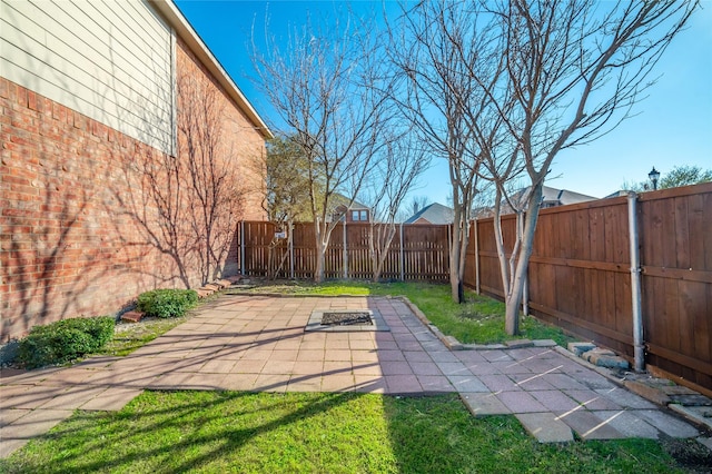 view of yard with a patio area and a fenced backyard