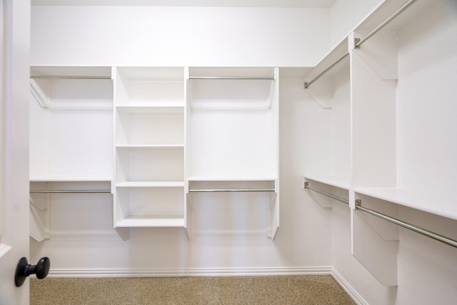 walk in closet featuring carpet flooring