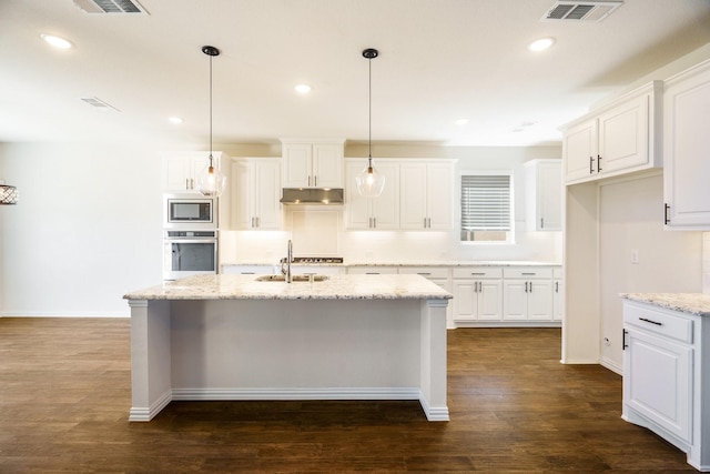 kitchen with visible vents, dark wood-type flooring, under cabinet range hood, a sink, and appliances with stainless steel finishes