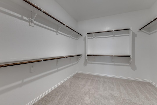 spacious closet featuring light colored carpet