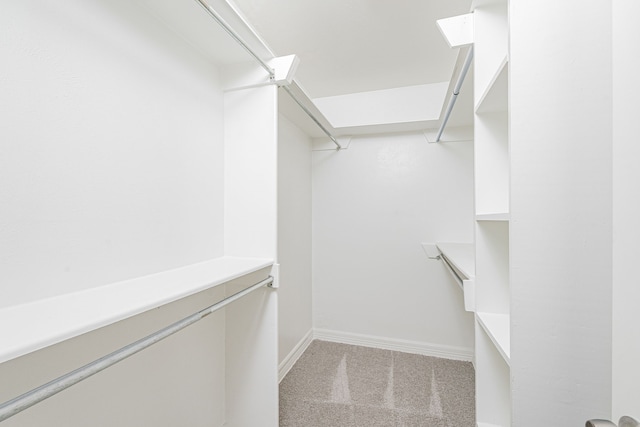 spacious closet featuring light colored carpet