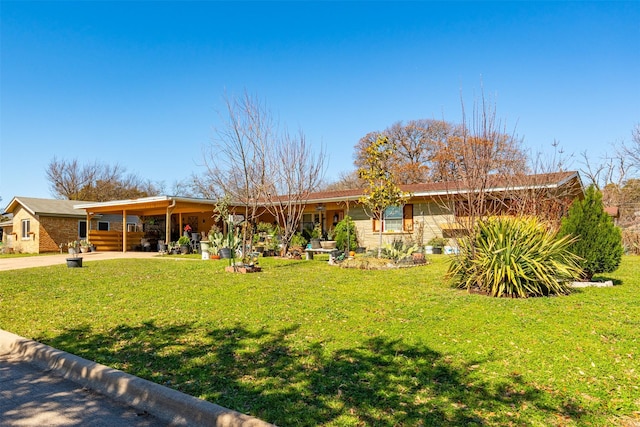 back of house featuring a yard