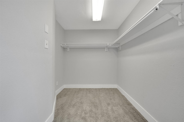 spacious closet with carpet flooring