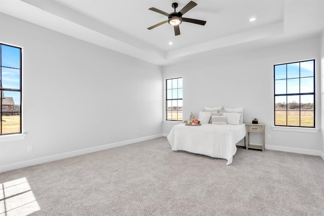 bedroom with baseboards, a raised ceiling, and carpet floors