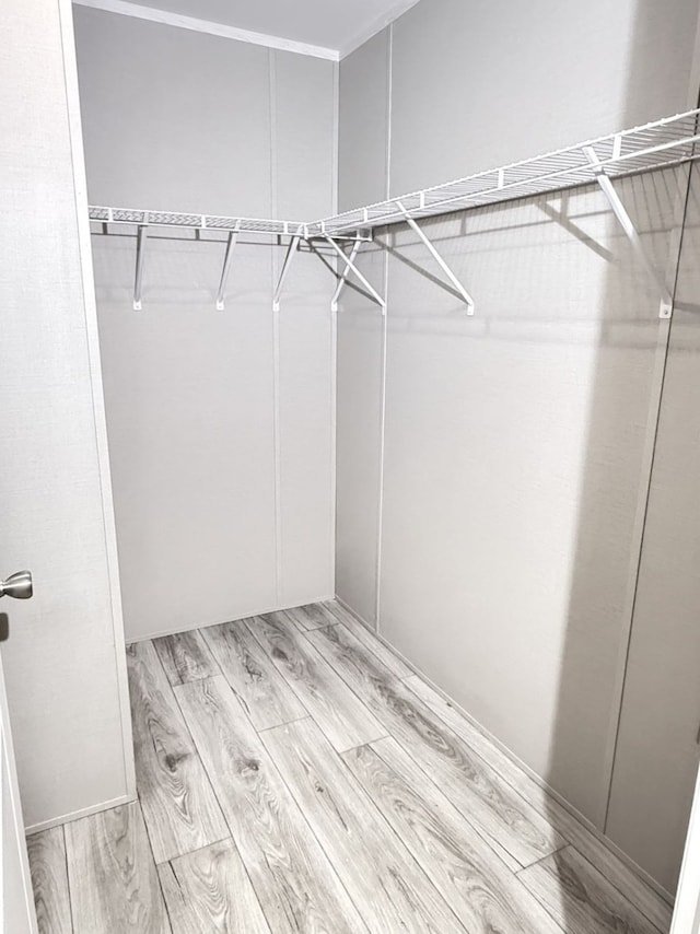 spacious closet featuring wood finish floors