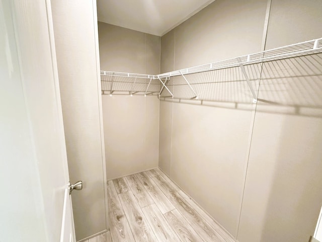 spacious closet with light wood-type flooring