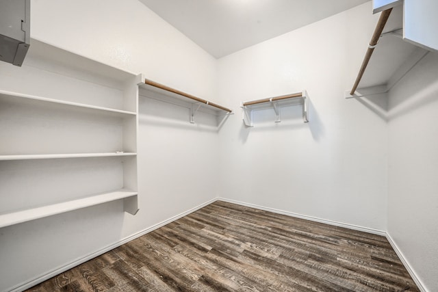 spacious closet featuring dark wood-style floors