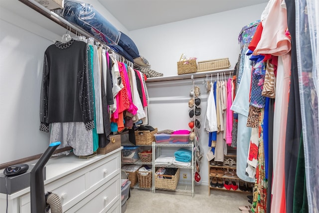 walk in closet with carpet flooring