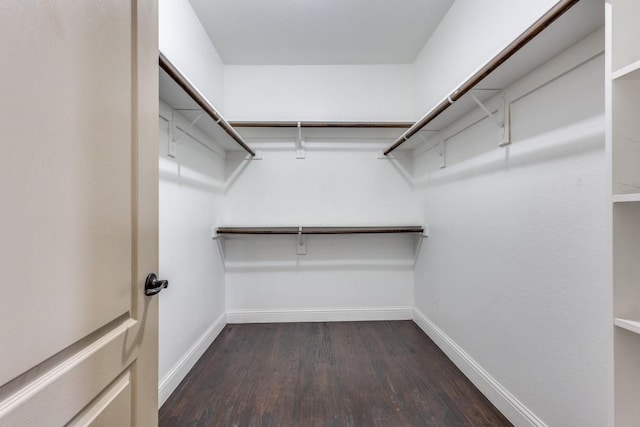 walk in closet with dark wood finished floors