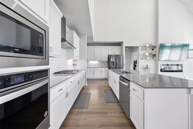 kitchen featuring light wood-style flooring, a sink, appliances with stainless steel finishes, wall chimney exhaust hood, and decorative backsplash