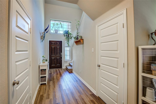 entryway featuring baseboards, wood finished floors, and a towering ceiling