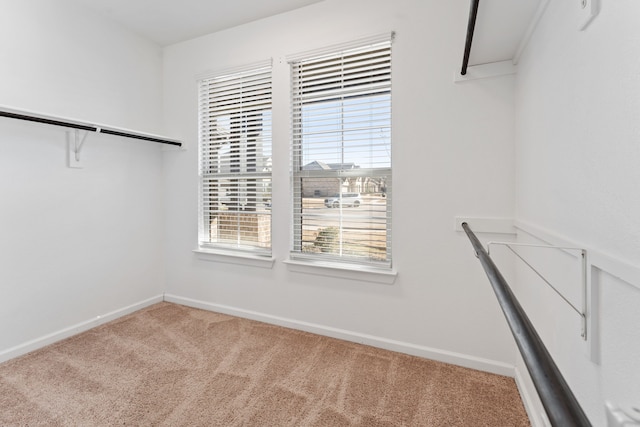 spacious closet featuring carpet