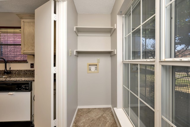 pantry with a sink