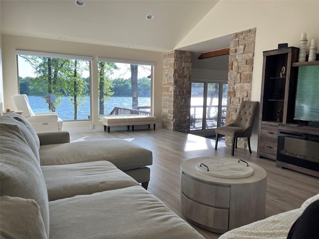 living room with plenty of natural light, french doors, and wood finished floors